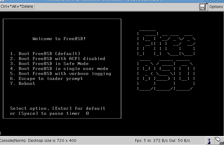 Installing FreeBSD with Remote Management Console
